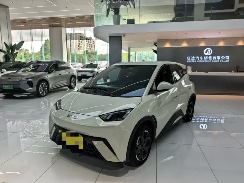 BYD Seagull, 2024