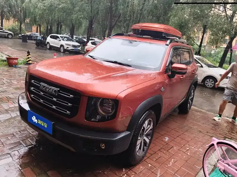 Haval Big Dog, 2021