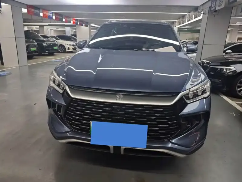 BYD Pro New Energy, 2024