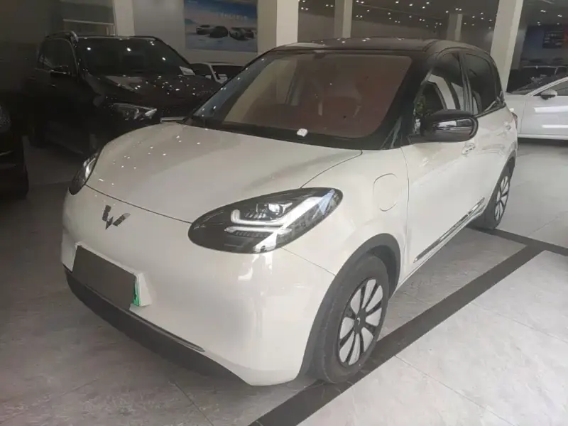 Wuling Bingo, 2024