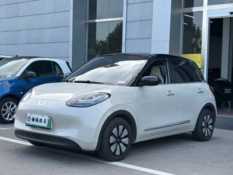 Wuling Bingo, 2025