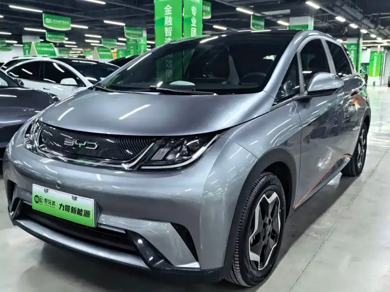 BYD Dolphin, 2023