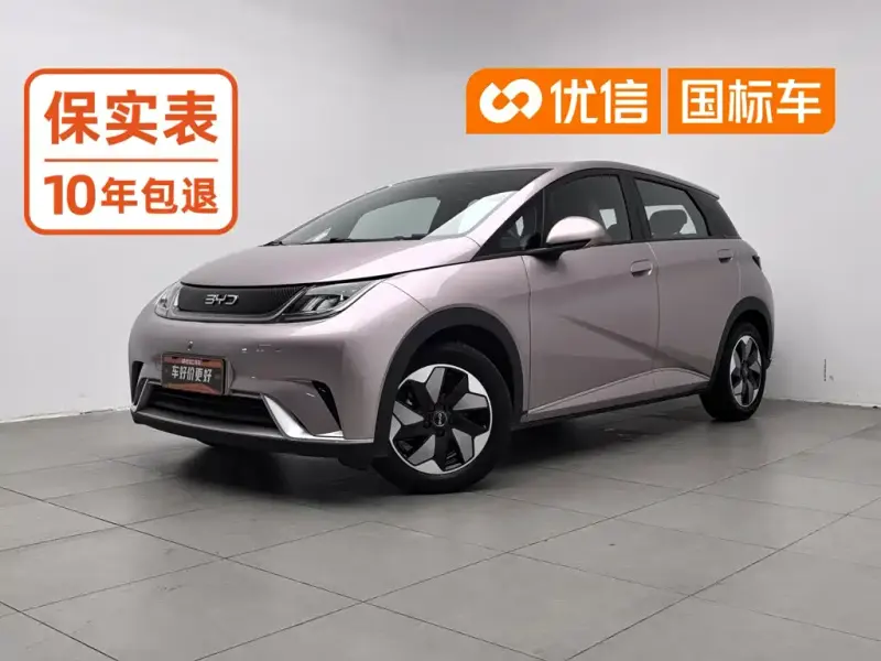 BYD Dolphin BYD Dolphin 2024 Glory Edition 420km Free Edition, 2024 — фото 1