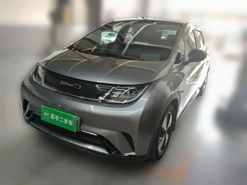 BYD Dolphin, 2023