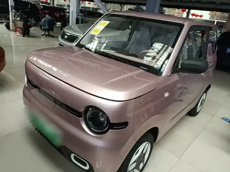 Galaxy Panda, 2026