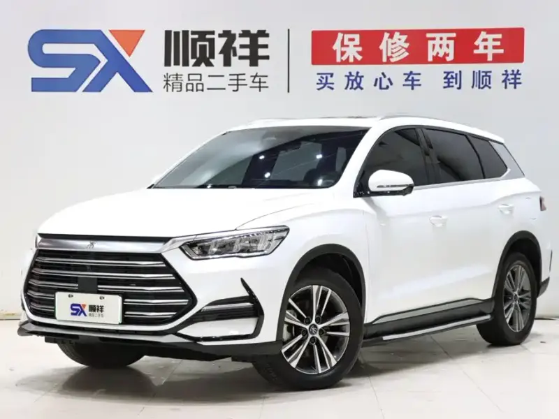 BYD Pro New Energy, 2023