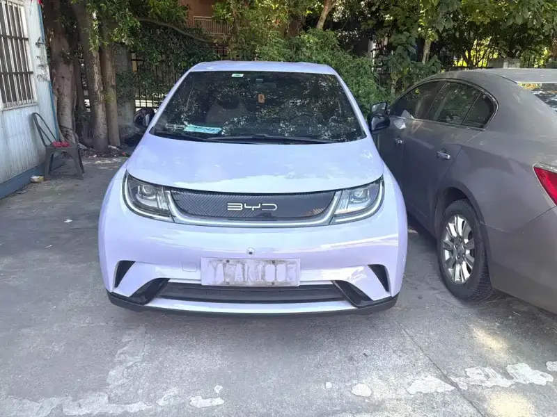 BYD Dolphin, 2023