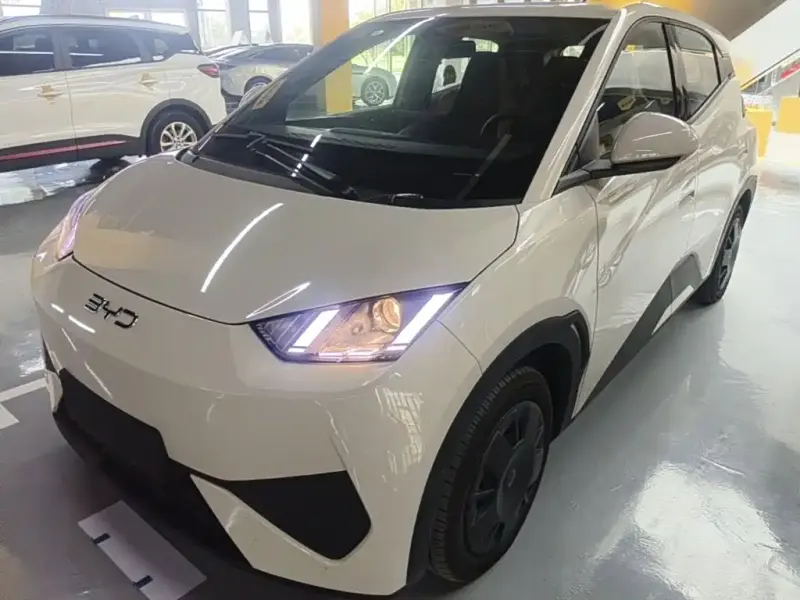 BYD Seagull, 2026
