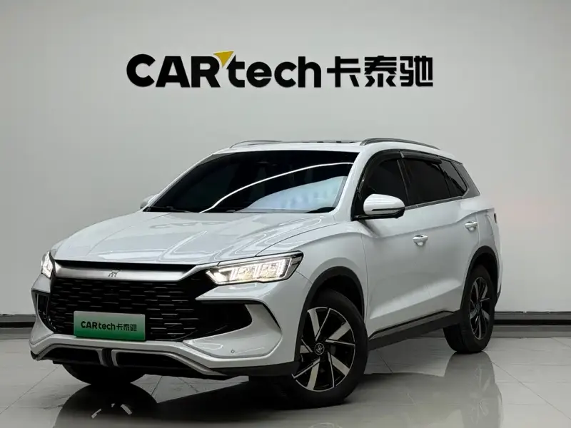 BYD Pro New Energy, 2023