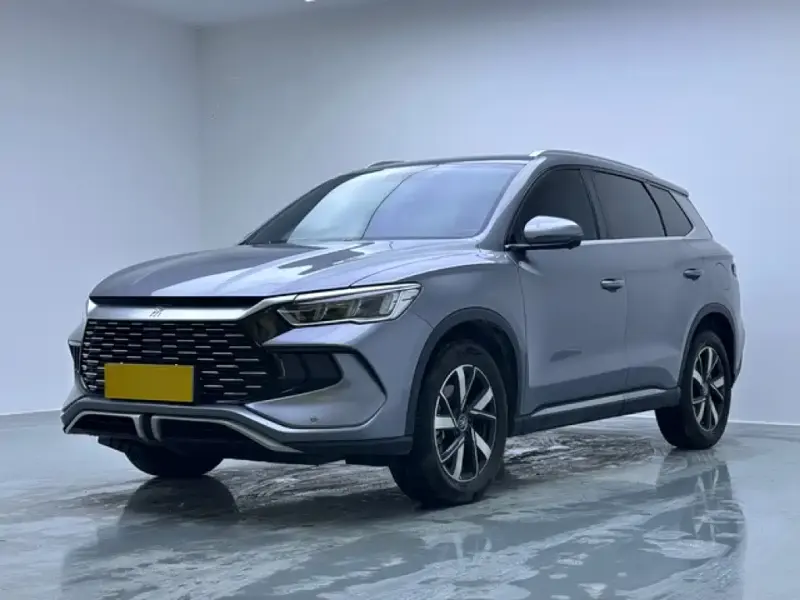 BYD Pro New Energy, 2025
