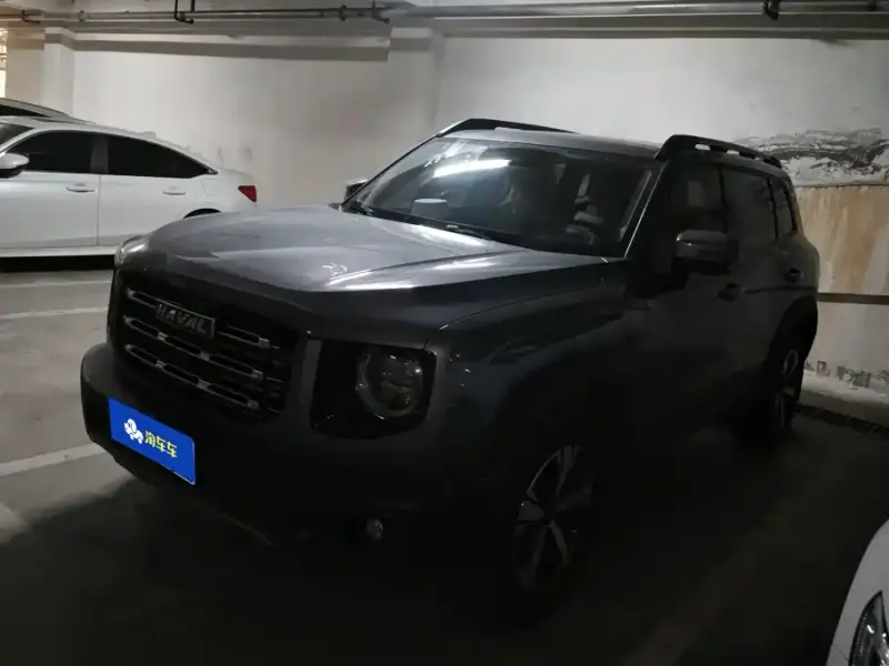 Haval Big Dog Haval Dargo (Big Dog) 2022 1.5T DCT 2WD Labrador Edition, 2022 — фото 1