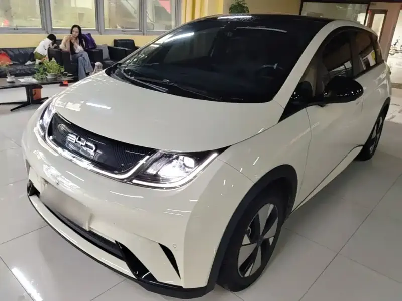 BYD Dolphin, 2023