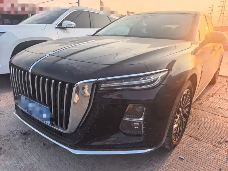 Hongqi H5, 2024