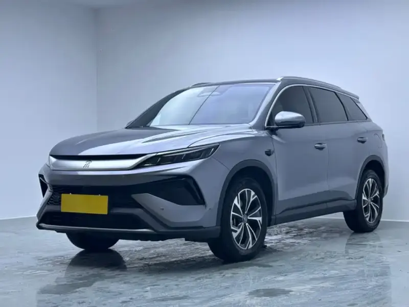 BYD Pro New Energy, 2025