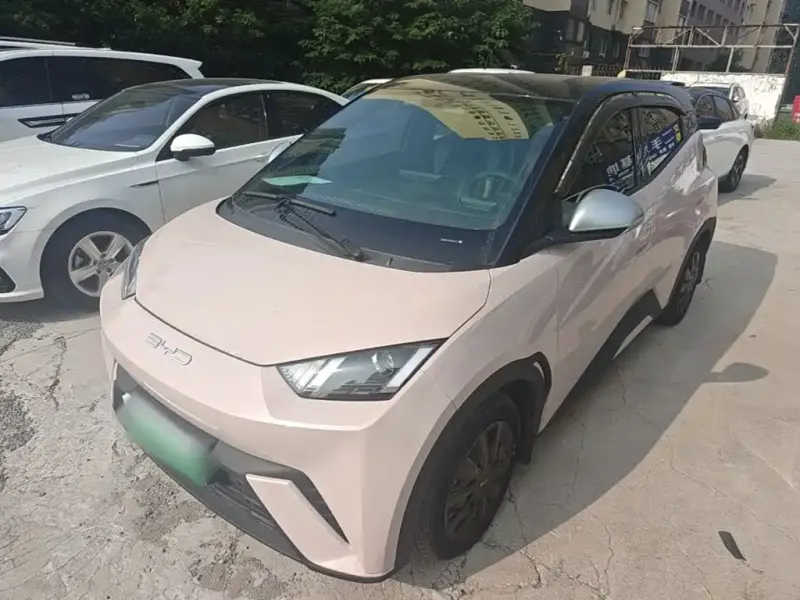 BYD Seagull, 2024
