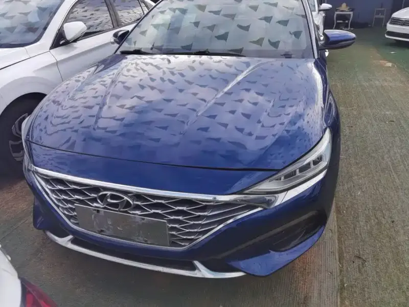 Hyundai Fista, 2019