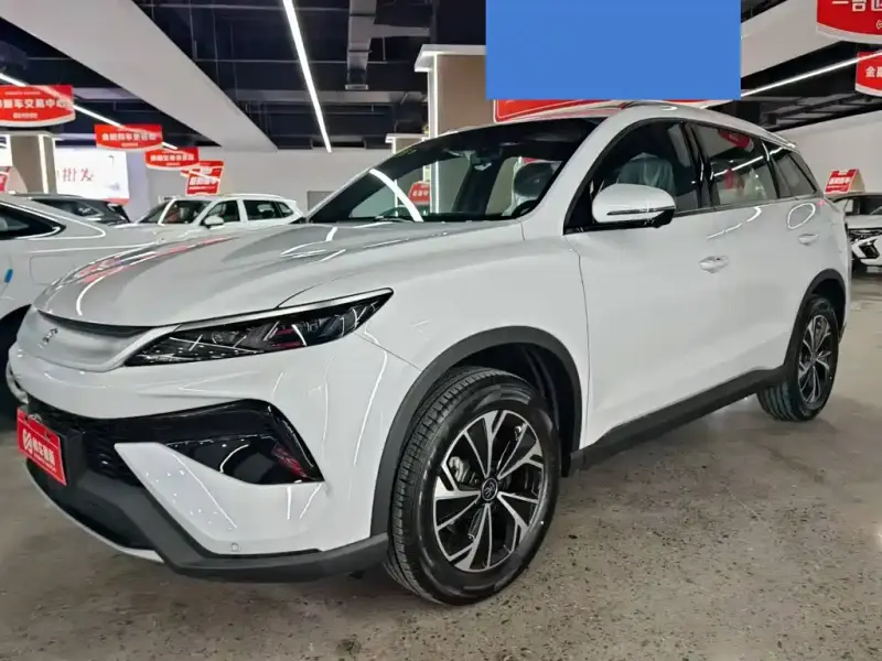BYD Pro New Energy, 2025