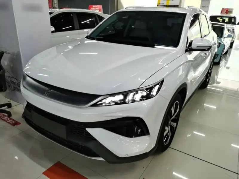 BYD Pro New Energy, 2024