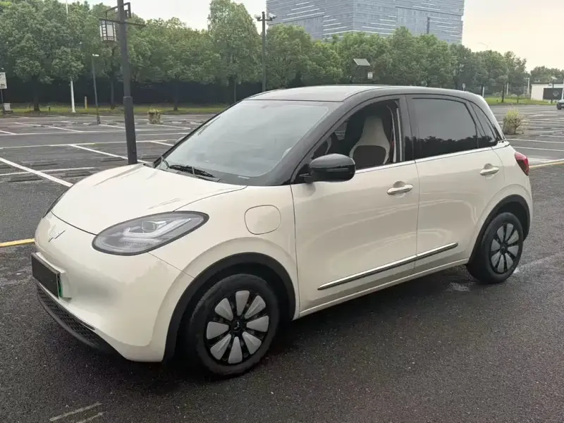 Wuling Bingo, 2024