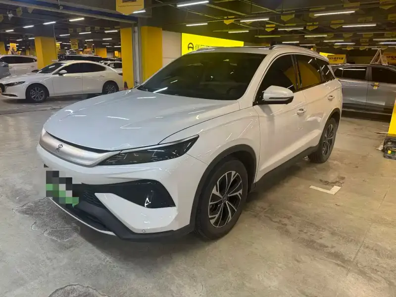 BYD Pro New Energy, 2025