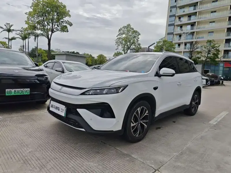 BYD Pro New Energy, 2025