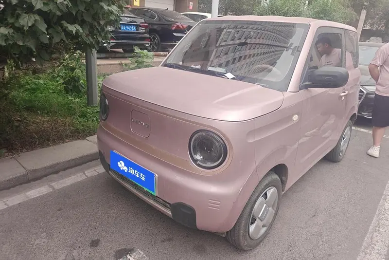 Galaxy Panda, 2024
