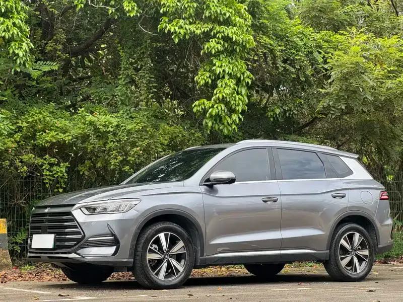BYD Pro New Energy, 2022
