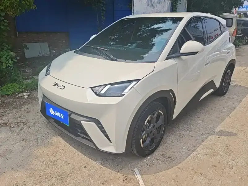 BYD Seagull, 2024