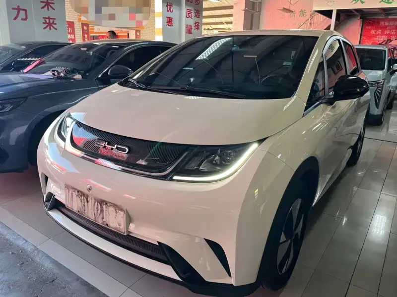 BYD Dolphin, 2023