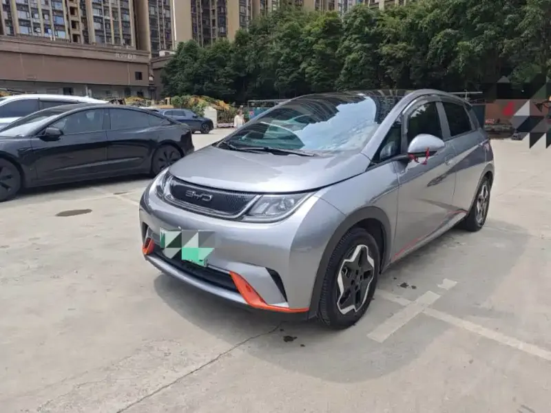 BYD Dolphin, 2022