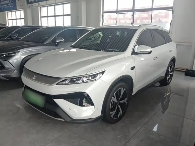 BYD Pro New Energy, 2025
