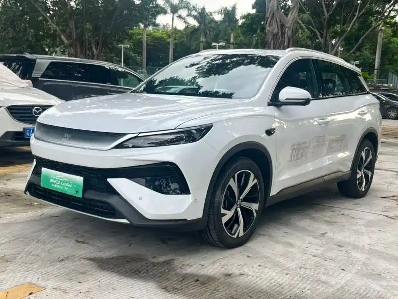 BYD Pro New Energy, 2025