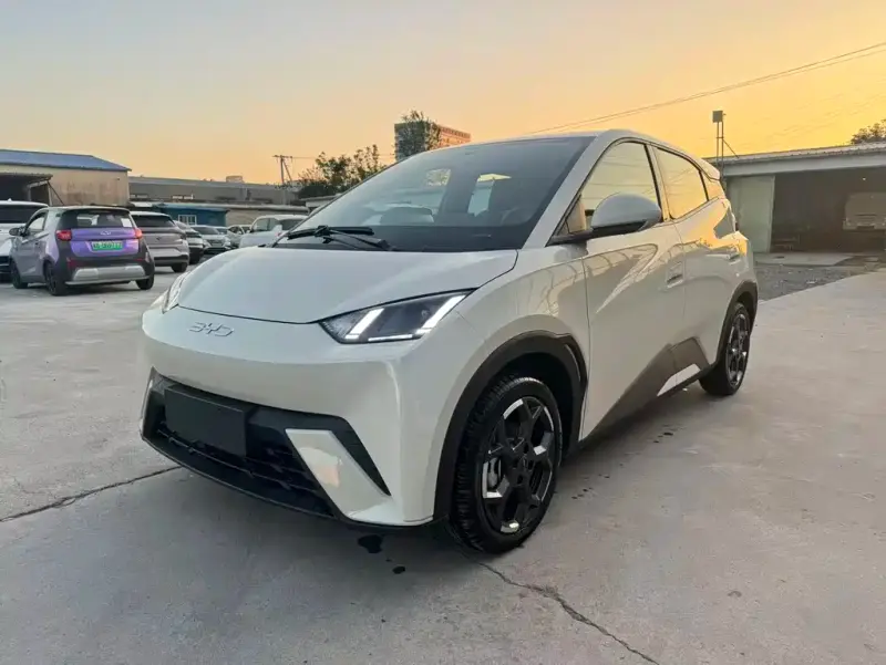 BYD Seagull, 2026