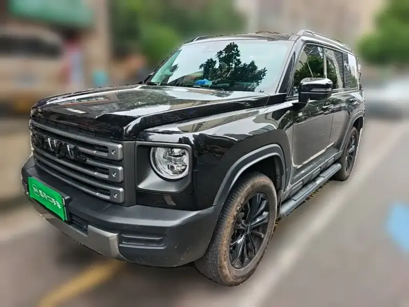Haval Menglong New Energy, 2024