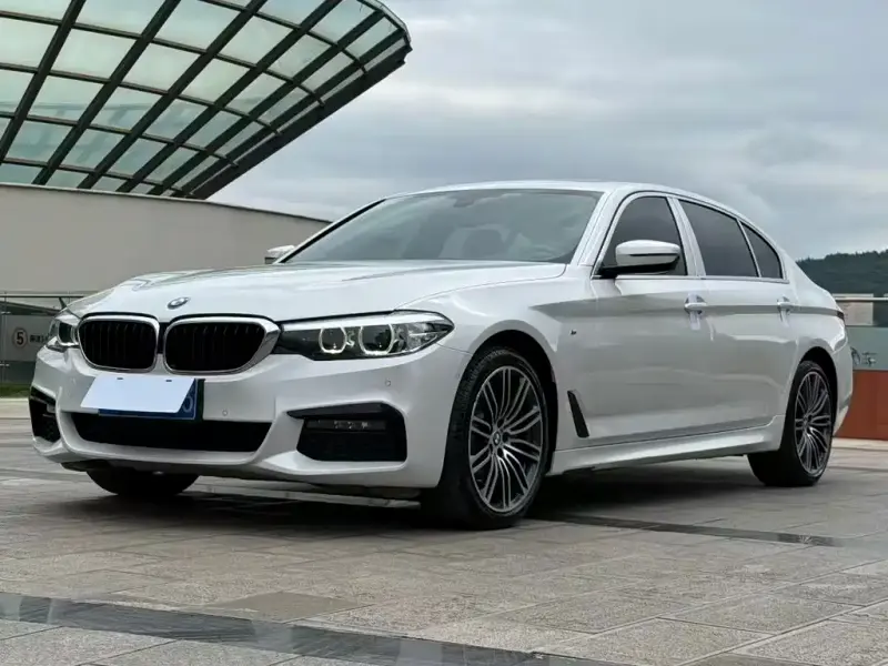 BMW 5 Series BMW 5 Series 2019 530Li Leading Type M Sport Package, 2019 — фото 1