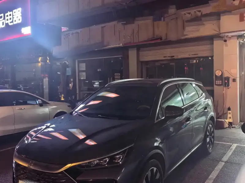 BYD Tang New Energy, 2024