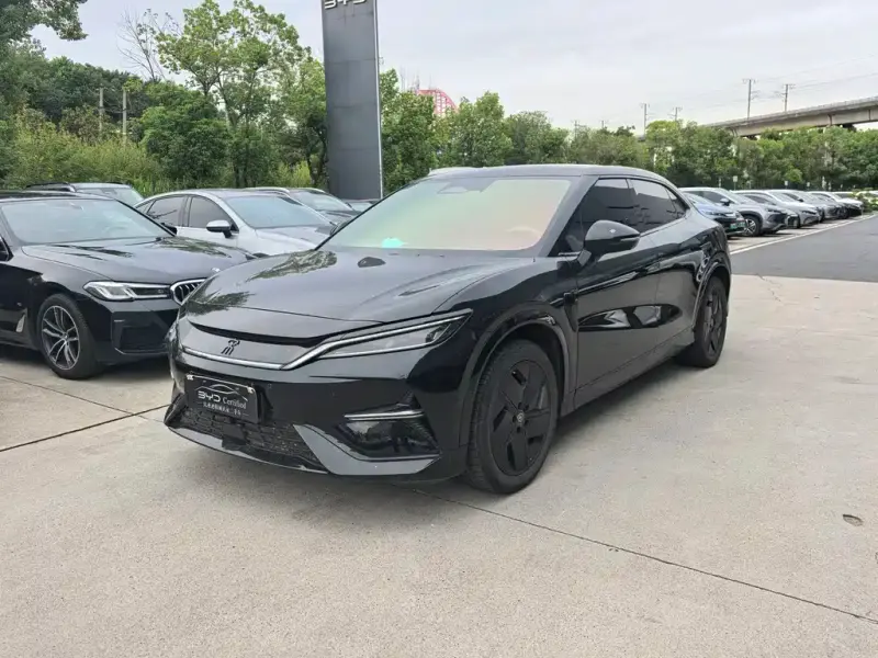 BYD L EV, 2025