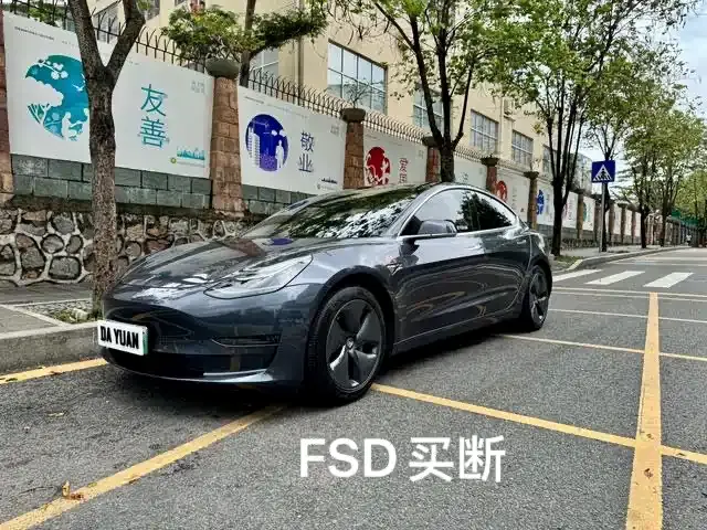 Tesla Model 3, 2020
