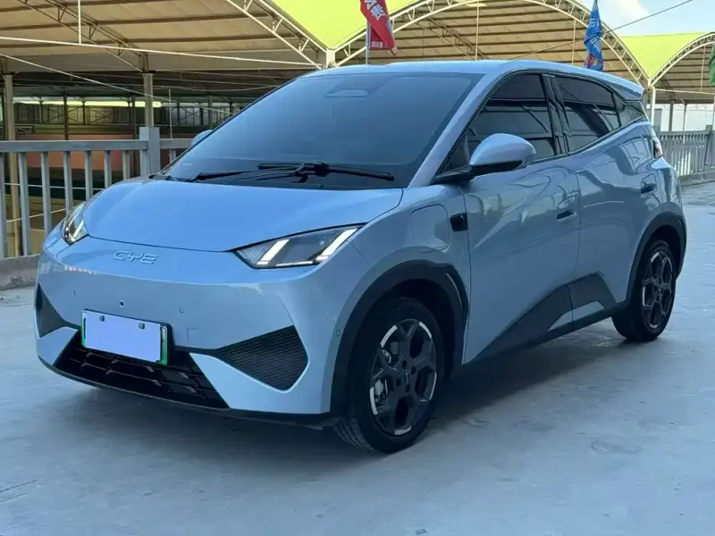 BYD Seagull, 2025