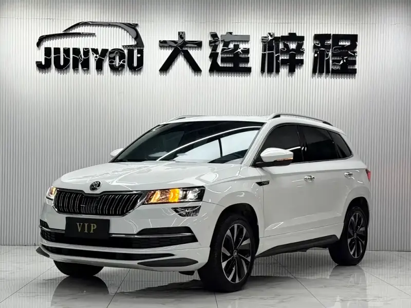 Skoda Karoq, 2024