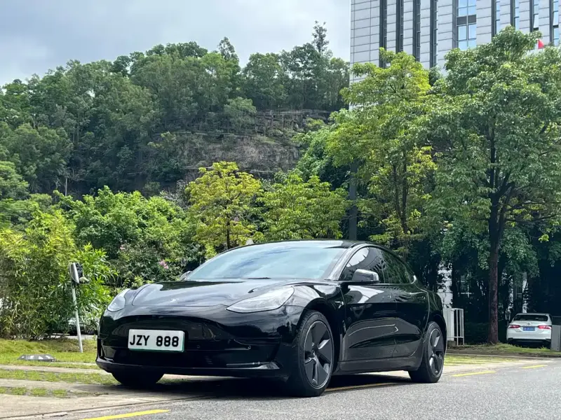 Tesla Model 3, 2022