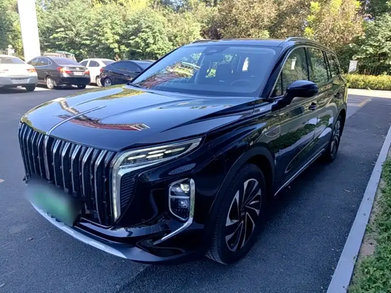 Hongqi HS7 PHEV, 2024