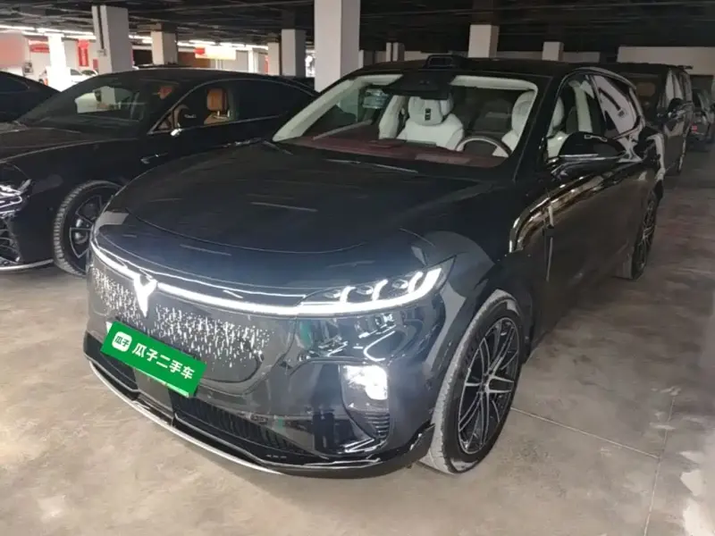 VOYAH Zhiyin, 2025