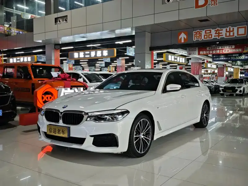 BMW 5 Series BMW 5 Series 2020 530Li Premium Type M Sport Package, 2020 — фото 1