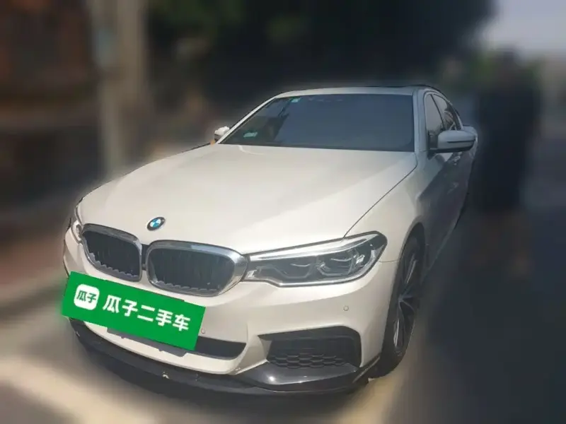 BMW 5 Series BMW 5 Series 2020 530Li Premium Type M Sport Package, 2020 — фото 1