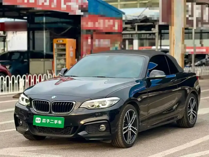 BMW 2 Series (Import), 2018