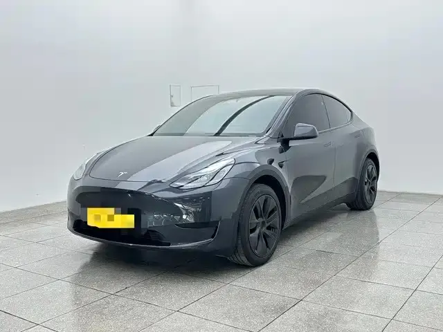 Tesla Model Y, 2024