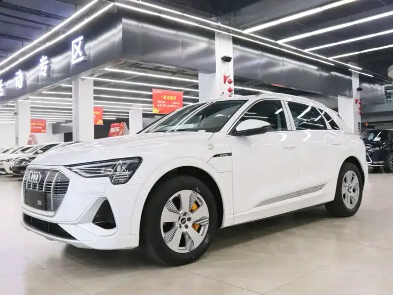 Audi e-tron Audi e-tron 2021 50 quattro Luxury Type, 2025 — фото 1