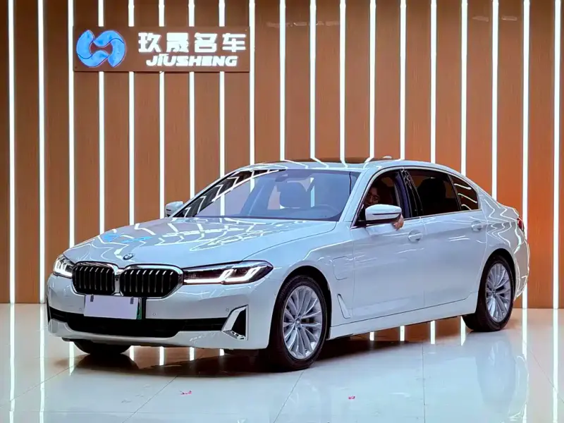 BMW 5 Series New Energy BMW 5 Series NEV 2021 535Le Luxury Package, 2021 — фото 1