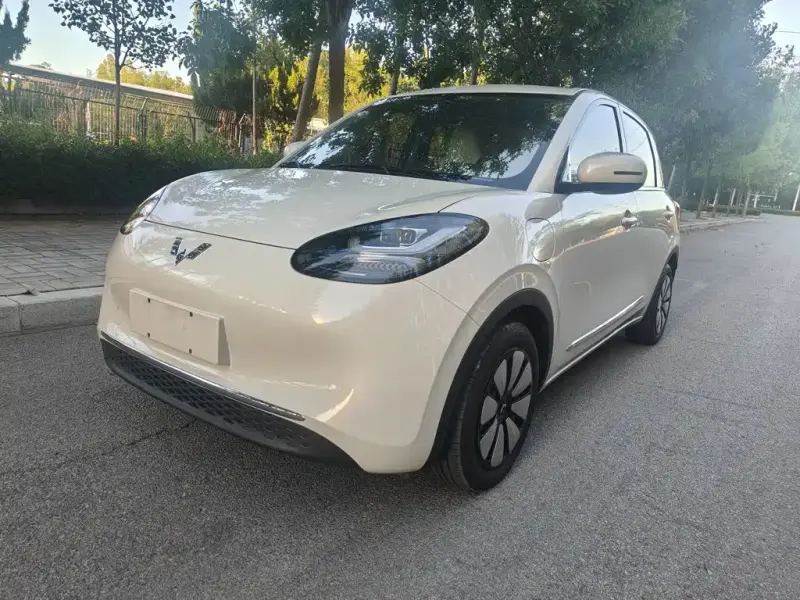 Wuling Bingo, 2024